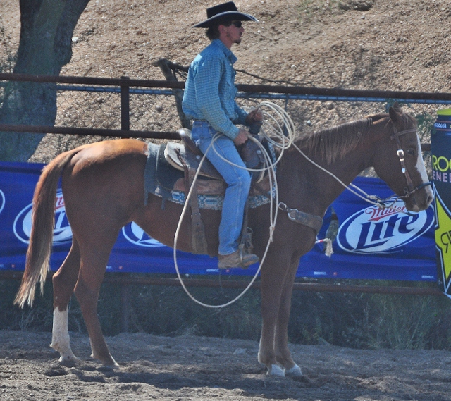 horseman waits for danger